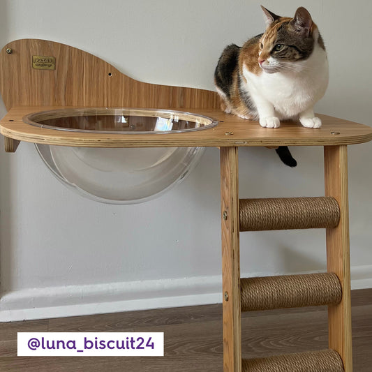 Wall Mounted Woodland Cat Loft