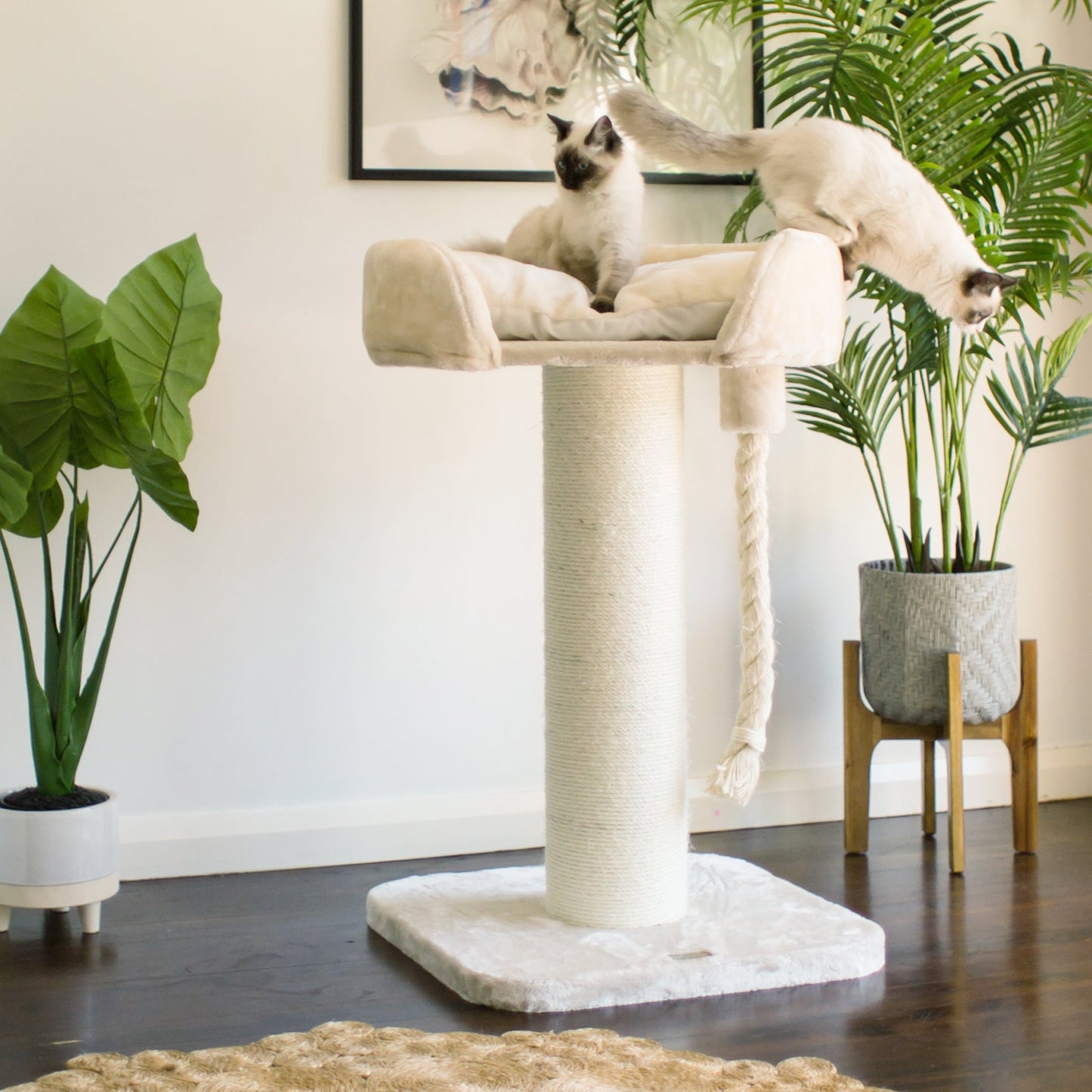 High Bed Cat Scratch Post - Cream Plush