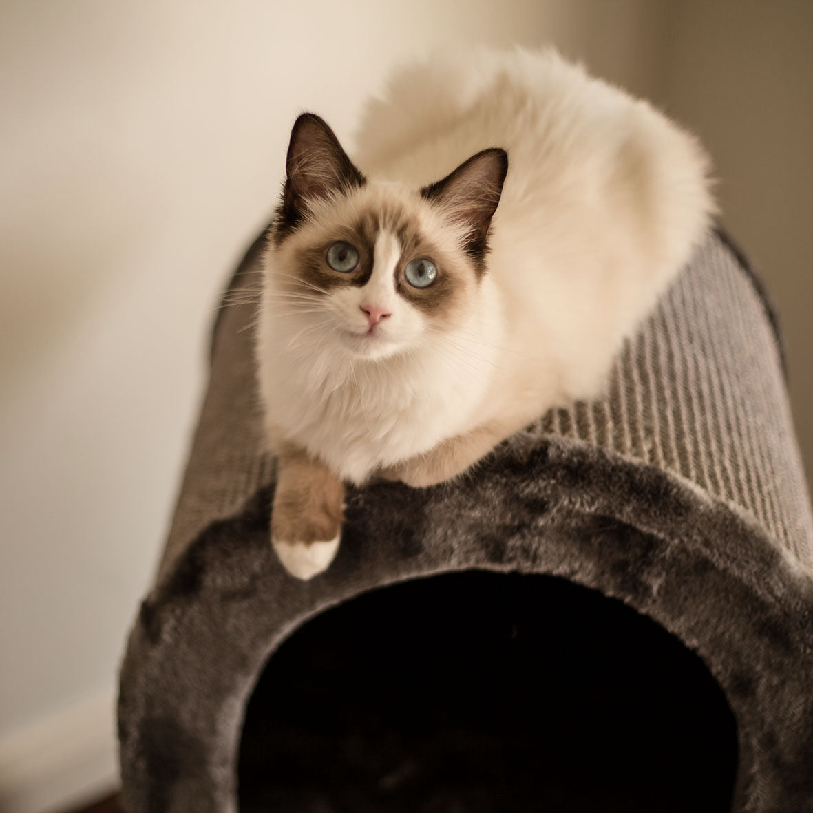 2 Chambers Cat Den - Charcoal