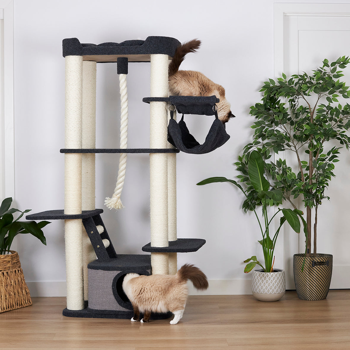 Kitty Climb Playground - Grey Carpet