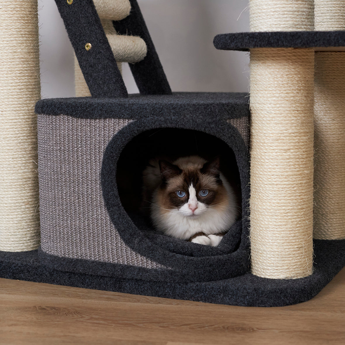 Kitty Climb Playground - Grey Carpet