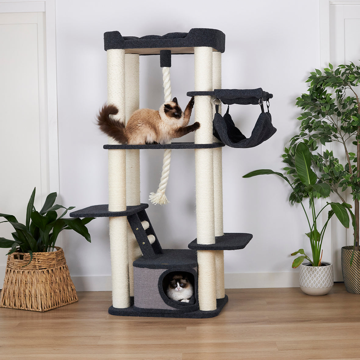 Kitty Climb Playground - Grey Carpet