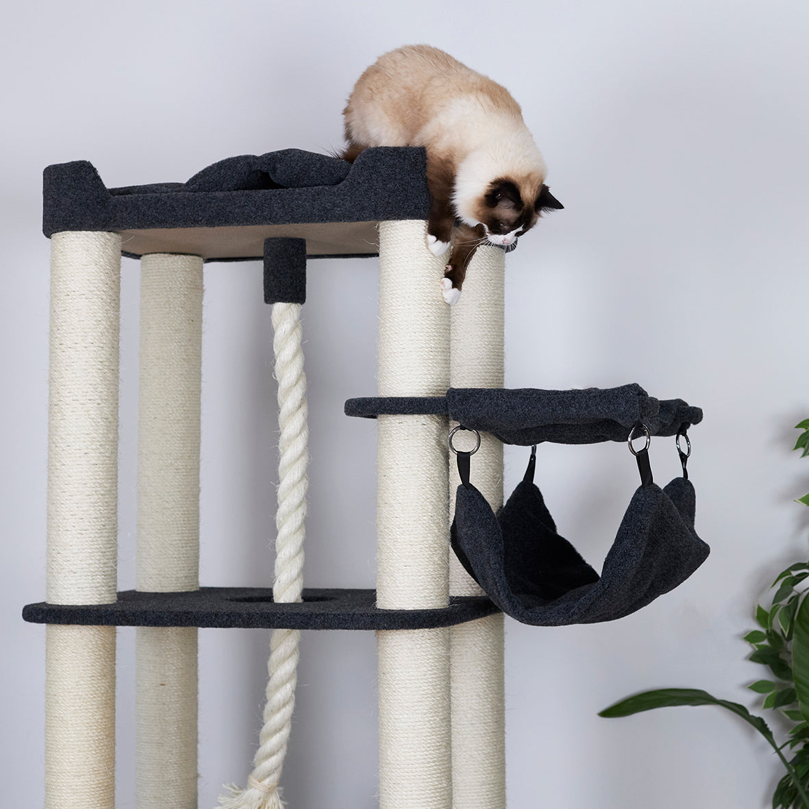 Kitty Climb Playground - Grey Carpet