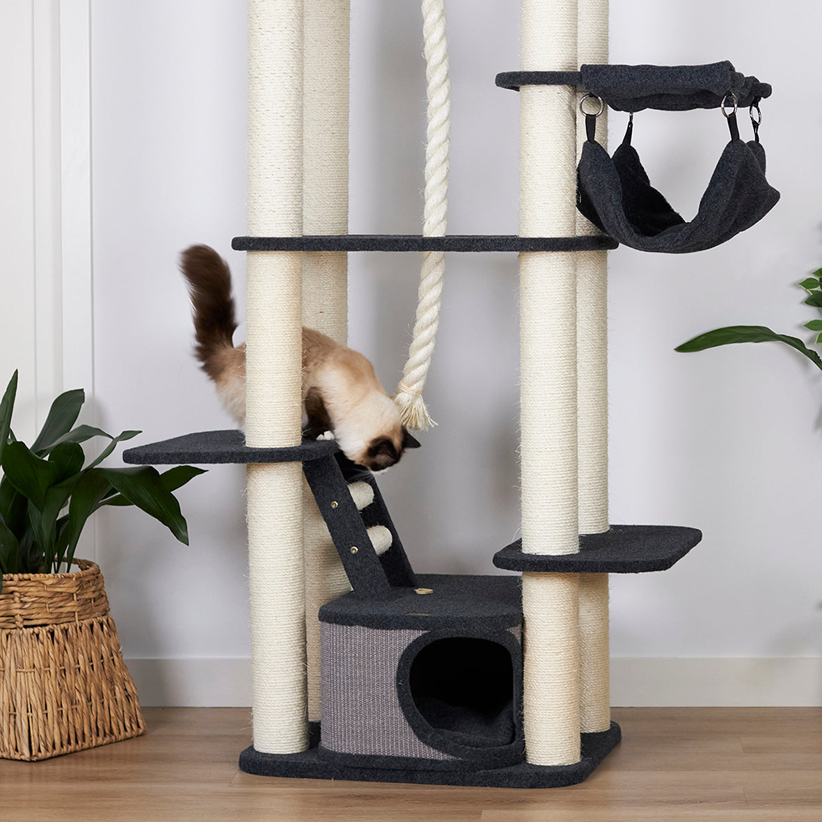 Kitty Climb Playground - Grey Carpet