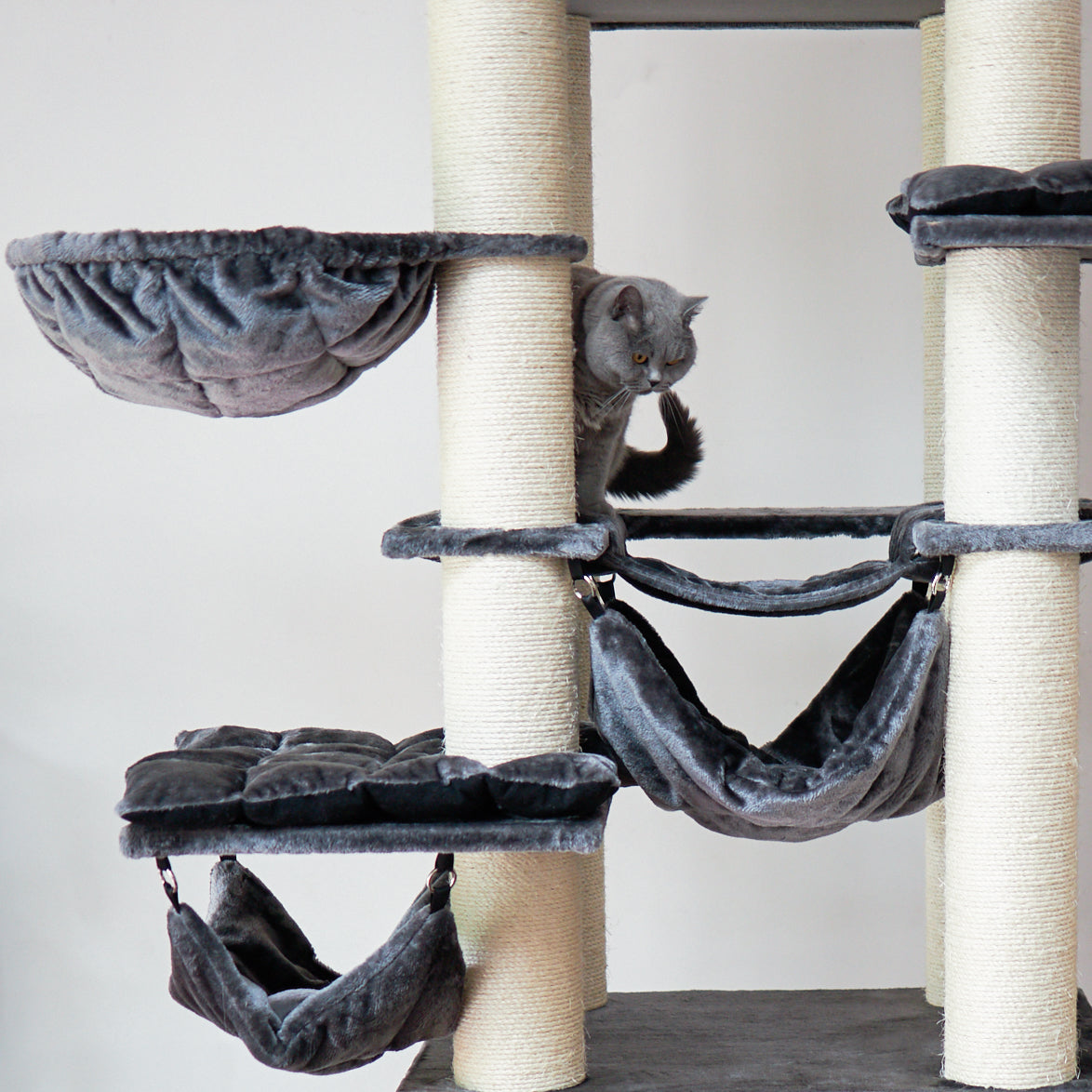 Kitty Tower Playground