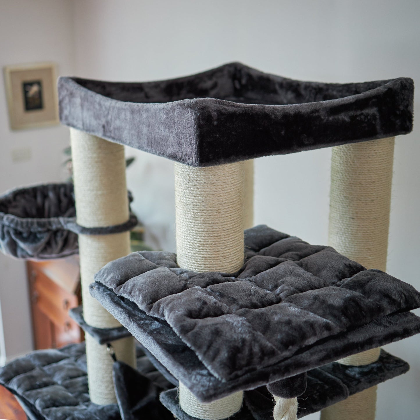 Kitty Tower Playground