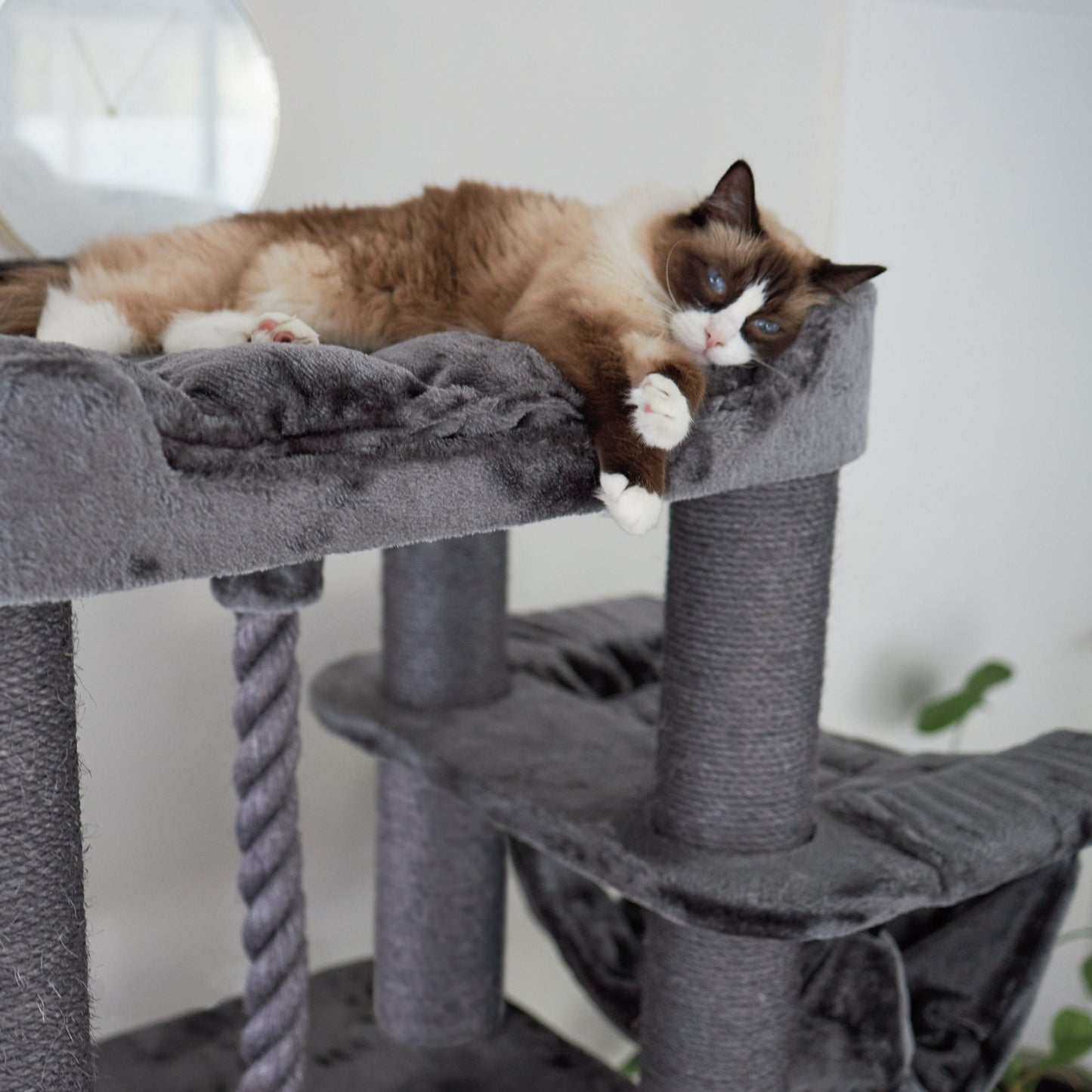 Kitty Climb Playground - Charcoal