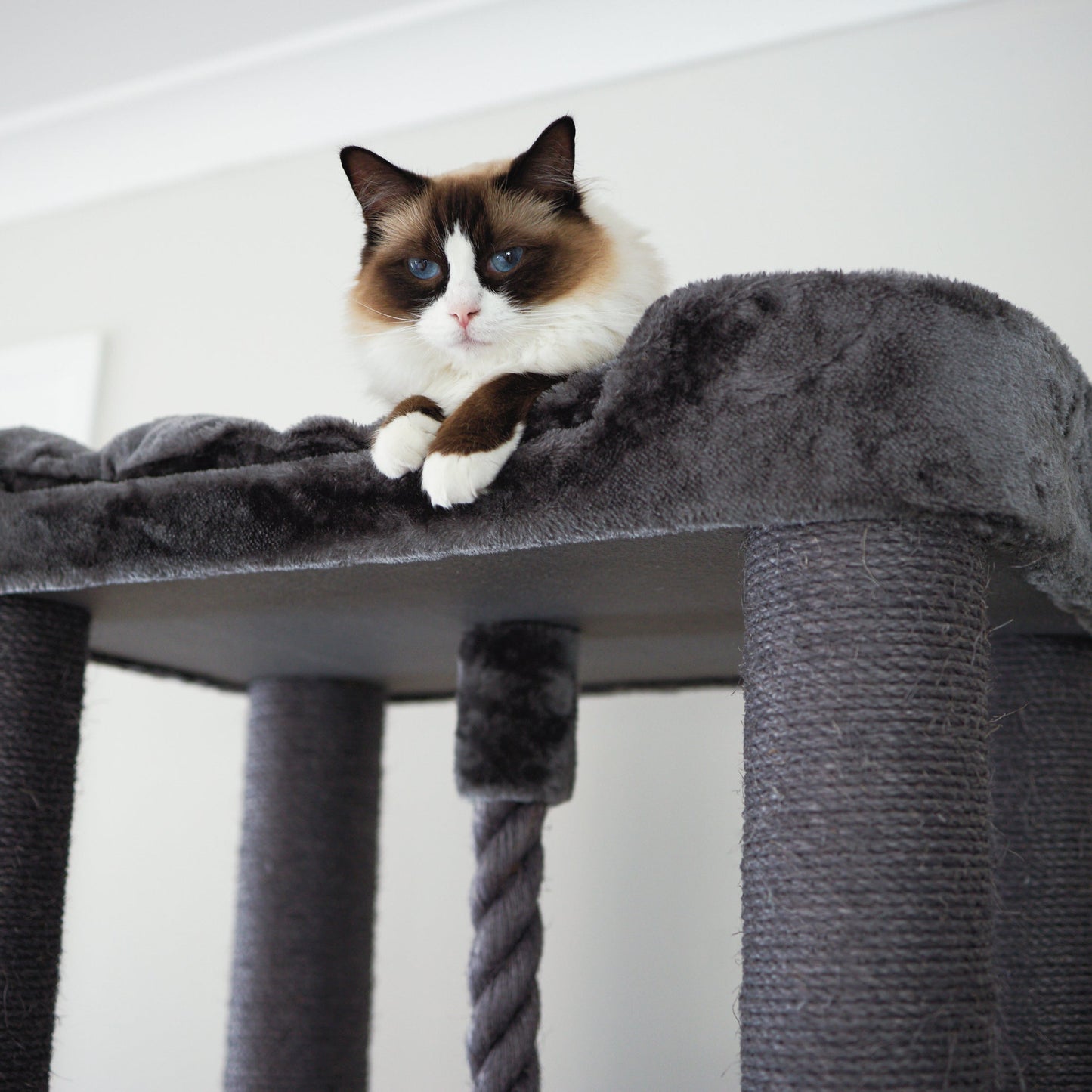 Kitty Climb Playground - Charcoal
