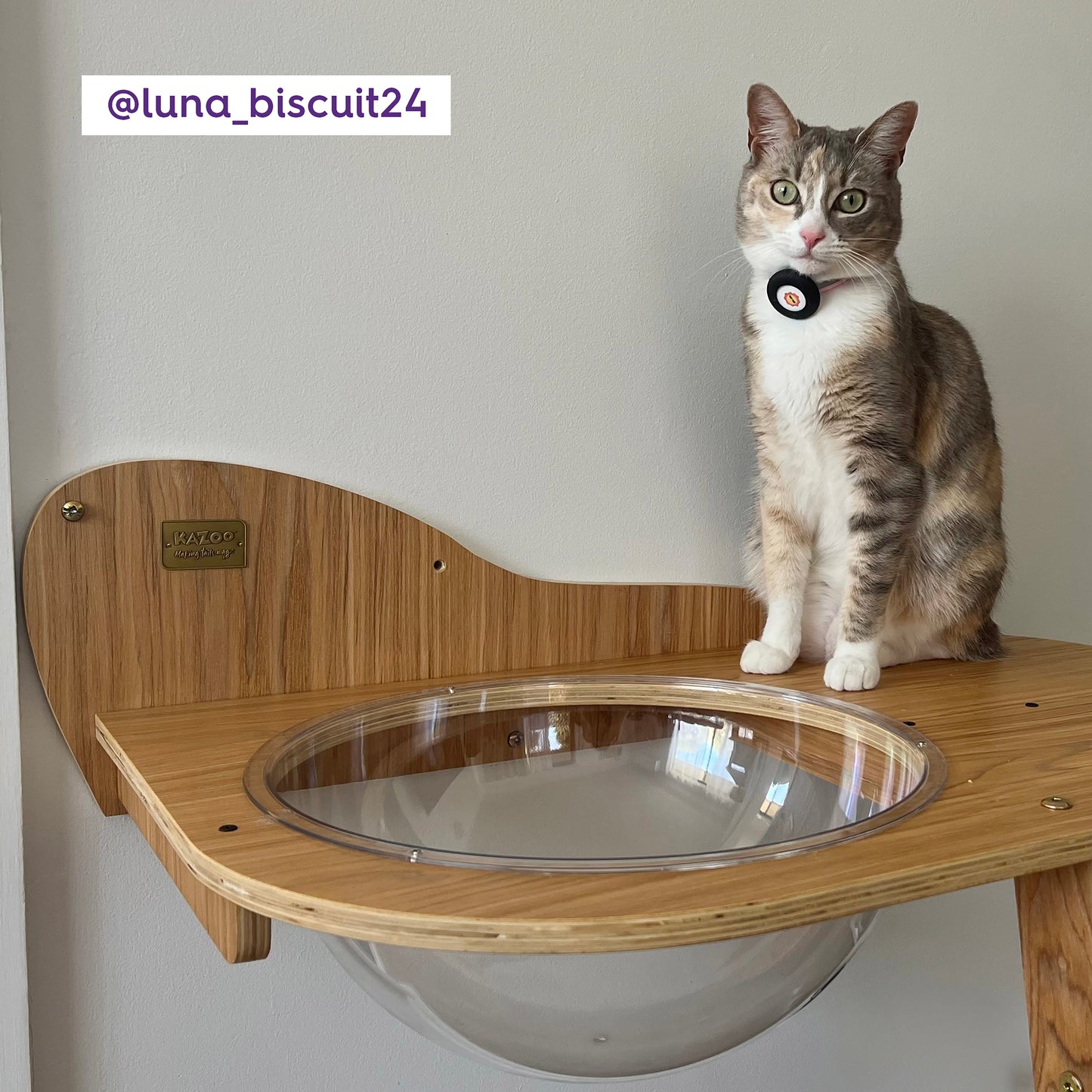 Wall Mounted Woodland Cat Loft