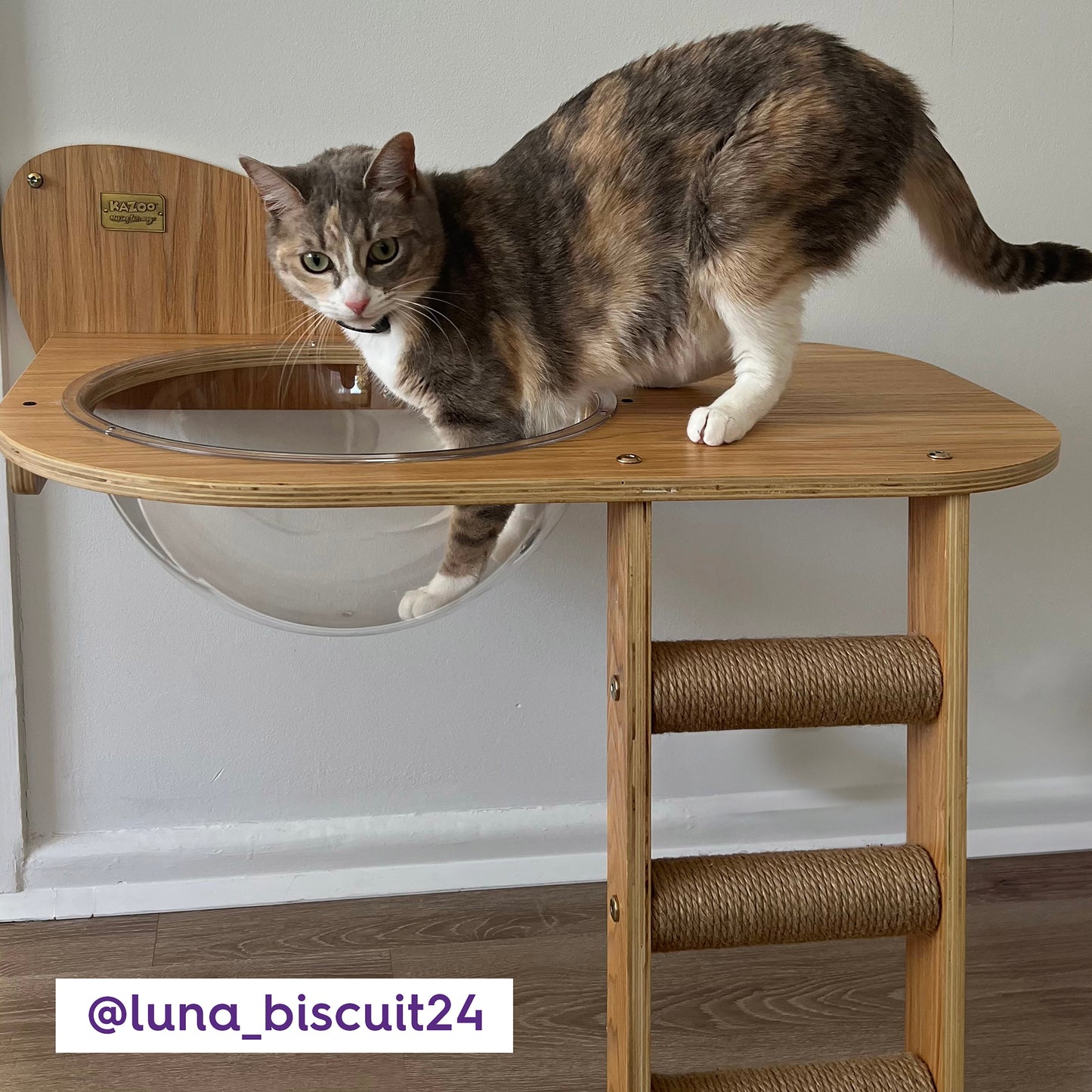 Wall Mounted Woodland Cat Loft